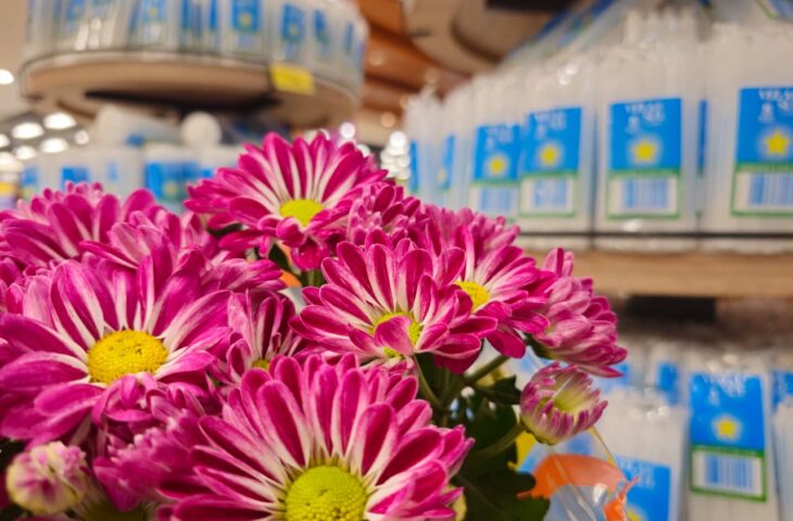 Flores-e-velas-para-o-Dia-de-Finados-em-ponto-de-venda-em-Campo-Grande-Foto-Kleber-Clajus-730x480